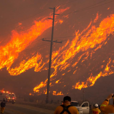 Wildfire