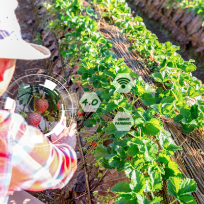 farming