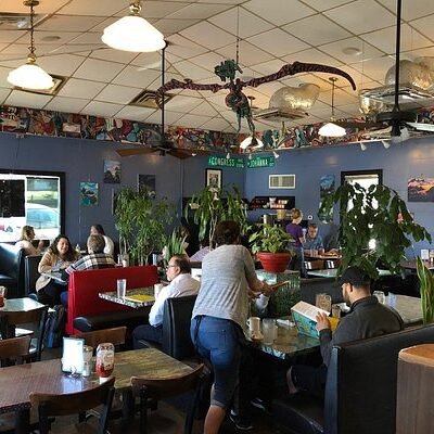 Concept Cafes in Austin
