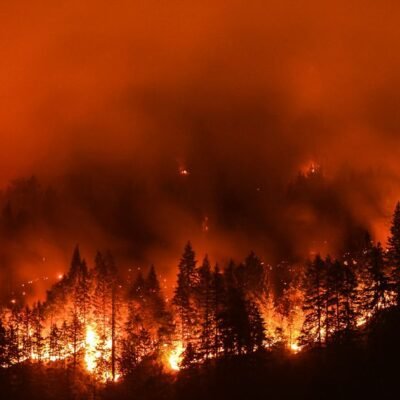 wildfires