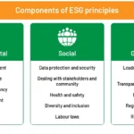 ESG in American business