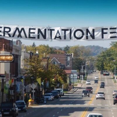Discover the Exciting Fermentation