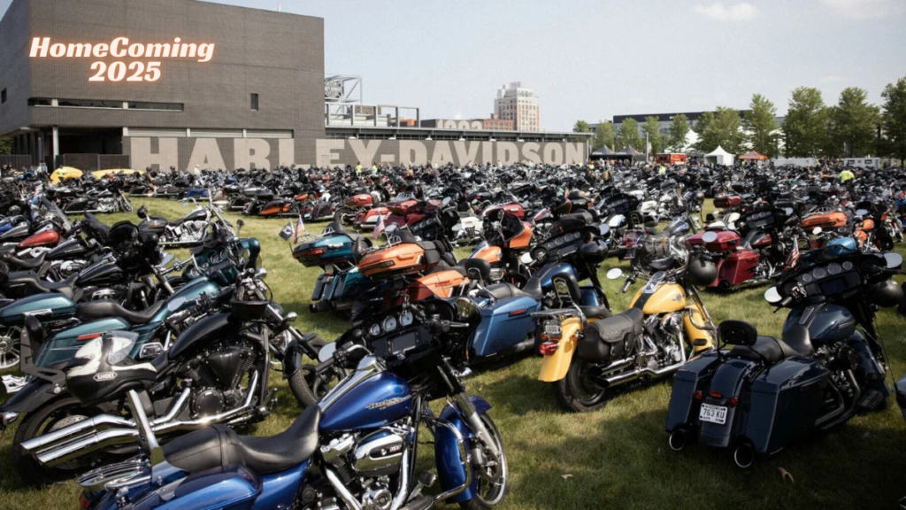 bikes