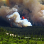 Wildfires