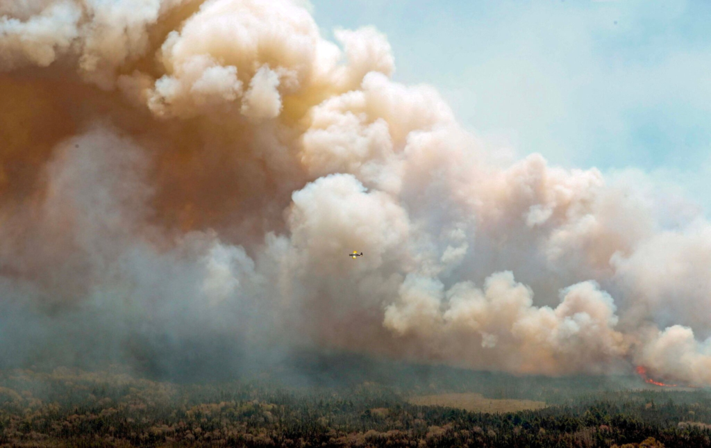 Wildfires