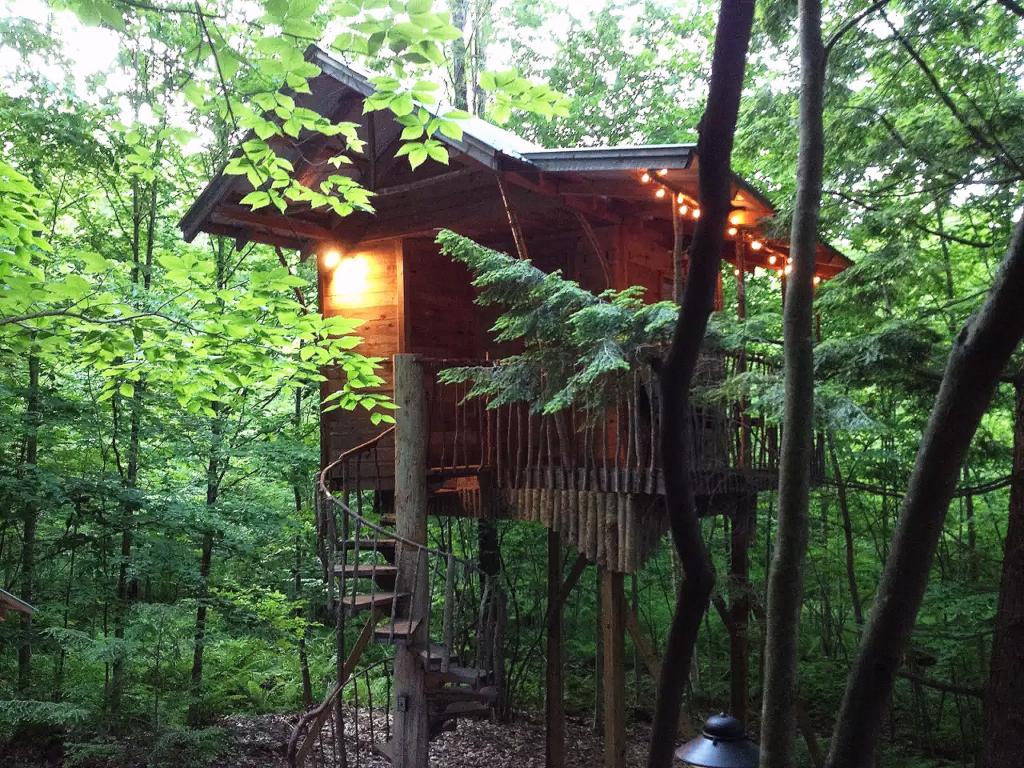 Treehouse