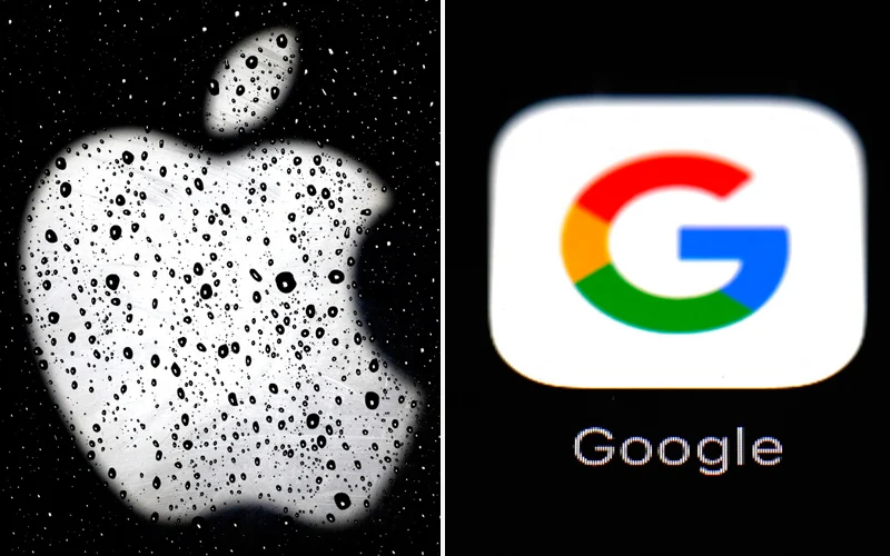 Safari