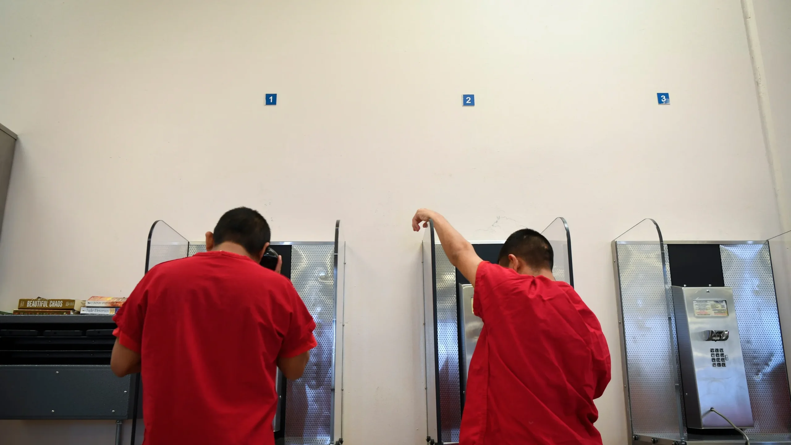 Mentally ill immigrants