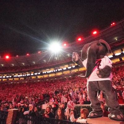 Alabama Stadium