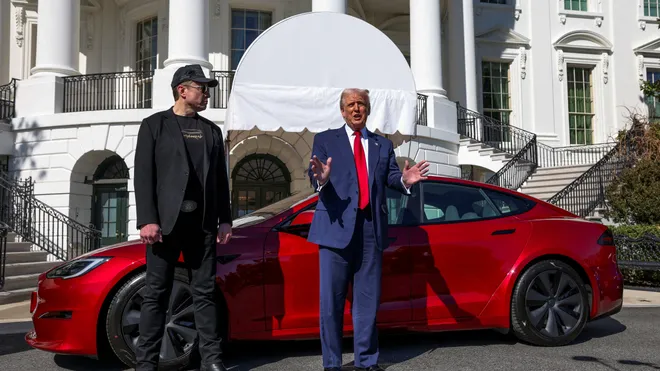 Trump wants Elon Musk to thrive