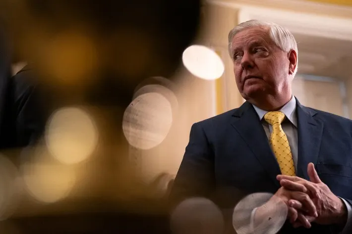Lindsey Graham Republican Challenger