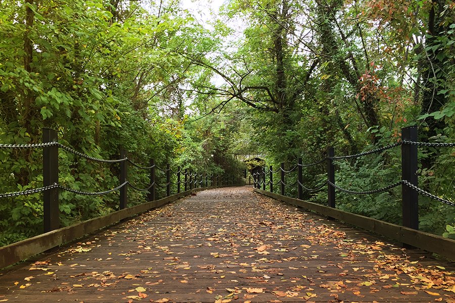 Mount Vernon Trail ruins