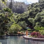 Longevity retreats
