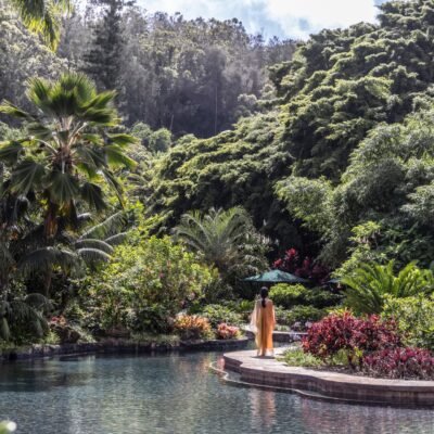 Longevity retreats