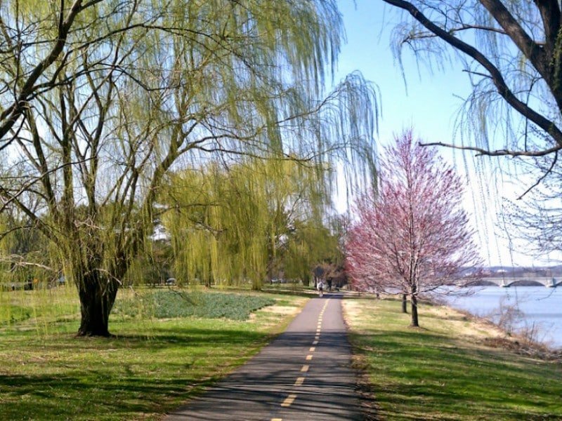 Mount Vernon Trail ruins