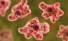 Brain-eating amoeba South Carolina
