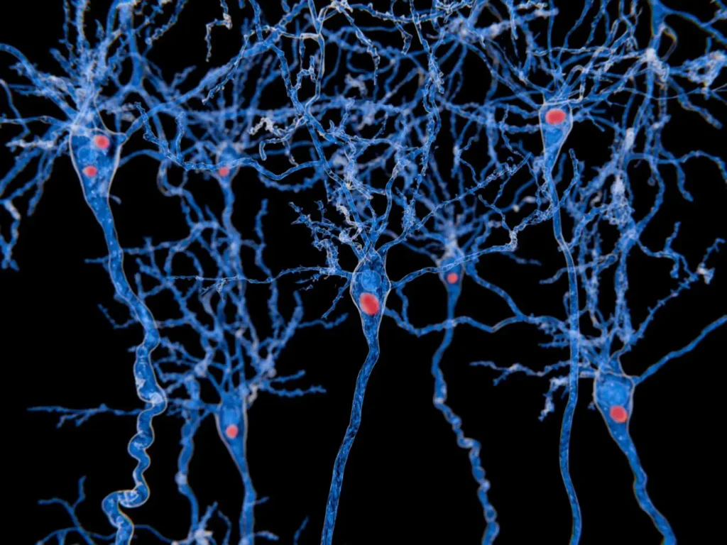 New Parkinson's treatment