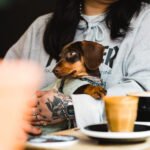 Best Dog-Friendly Cafes
