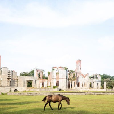 Cumberland Island Georgia