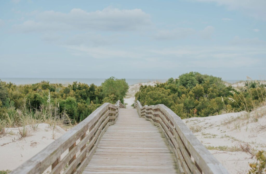 Cumberland Island Georgia
