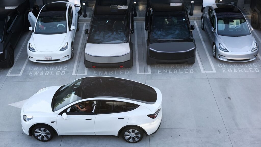 Tesla Profit Falls