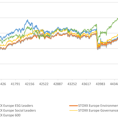ESG Investment Volatility