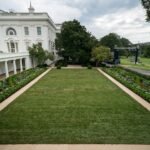 Rose Garden renovations