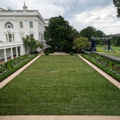 Rose Garden renovations