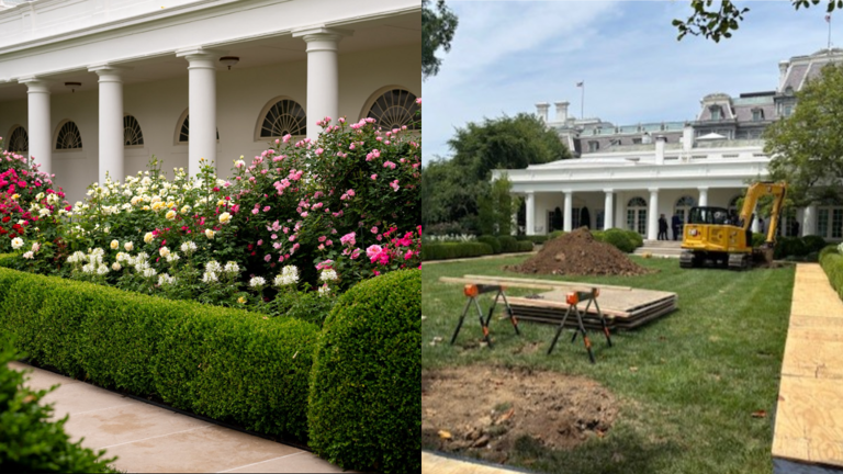 Trump Rose Garden redesign