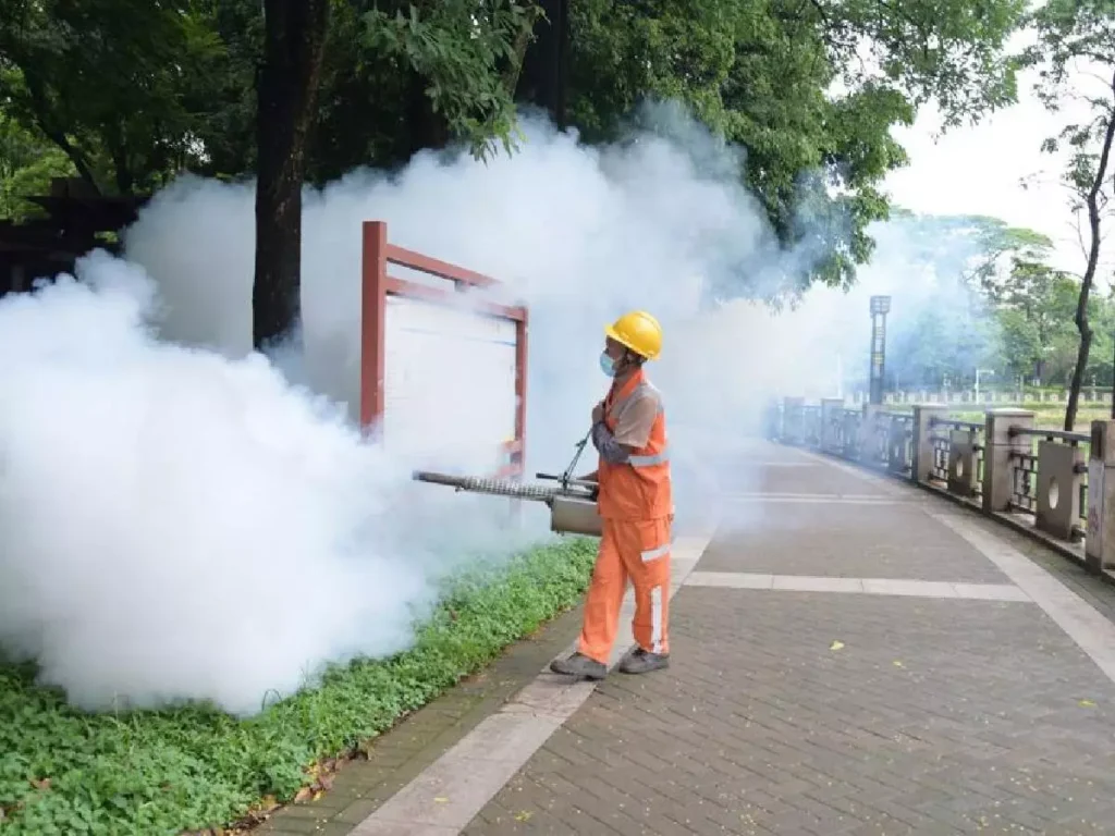 chikungunya cases in China