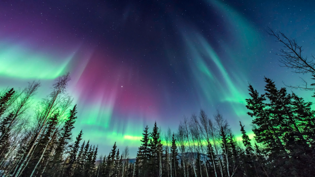 Northern Lights