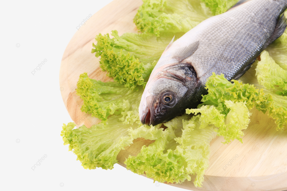 Aquatic protein