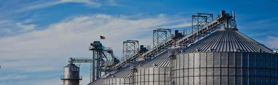 Emami Agrotech expansion