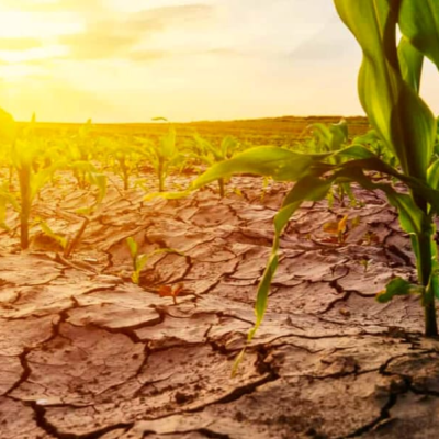 climate change