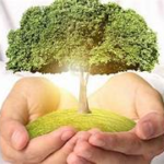 pollution reduction