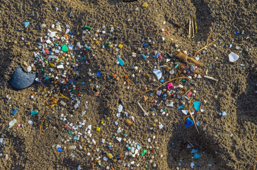 Microplastics in